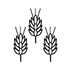 News Icon